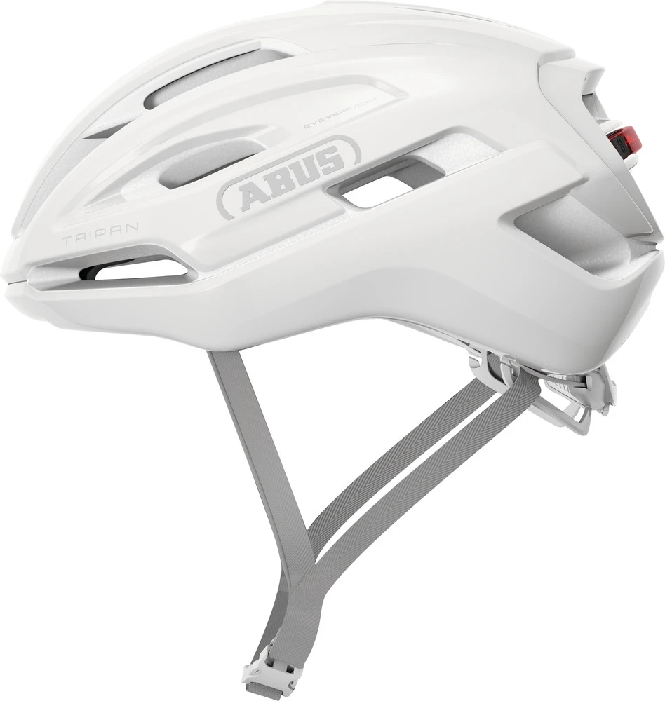 Taipan LED