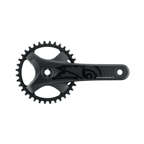 Crankset campagnolo Ekar GT CICLIMATTIO