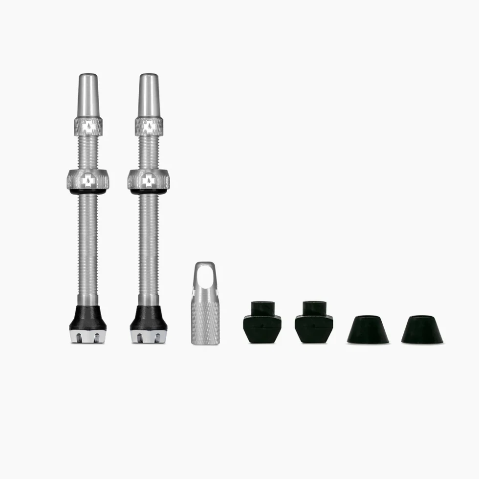 Valvole Tubeless - V2