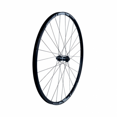 bontrager mustang